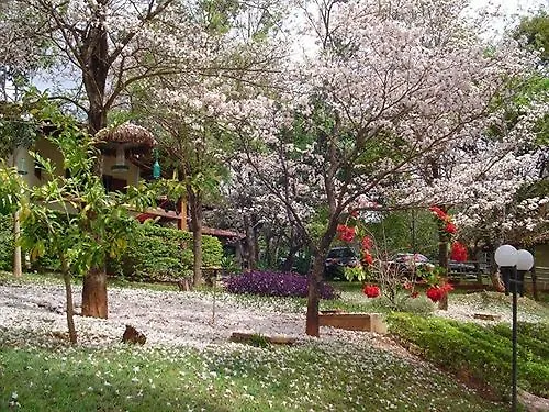 Pousada Do Ipe Caldas Novas Guest house