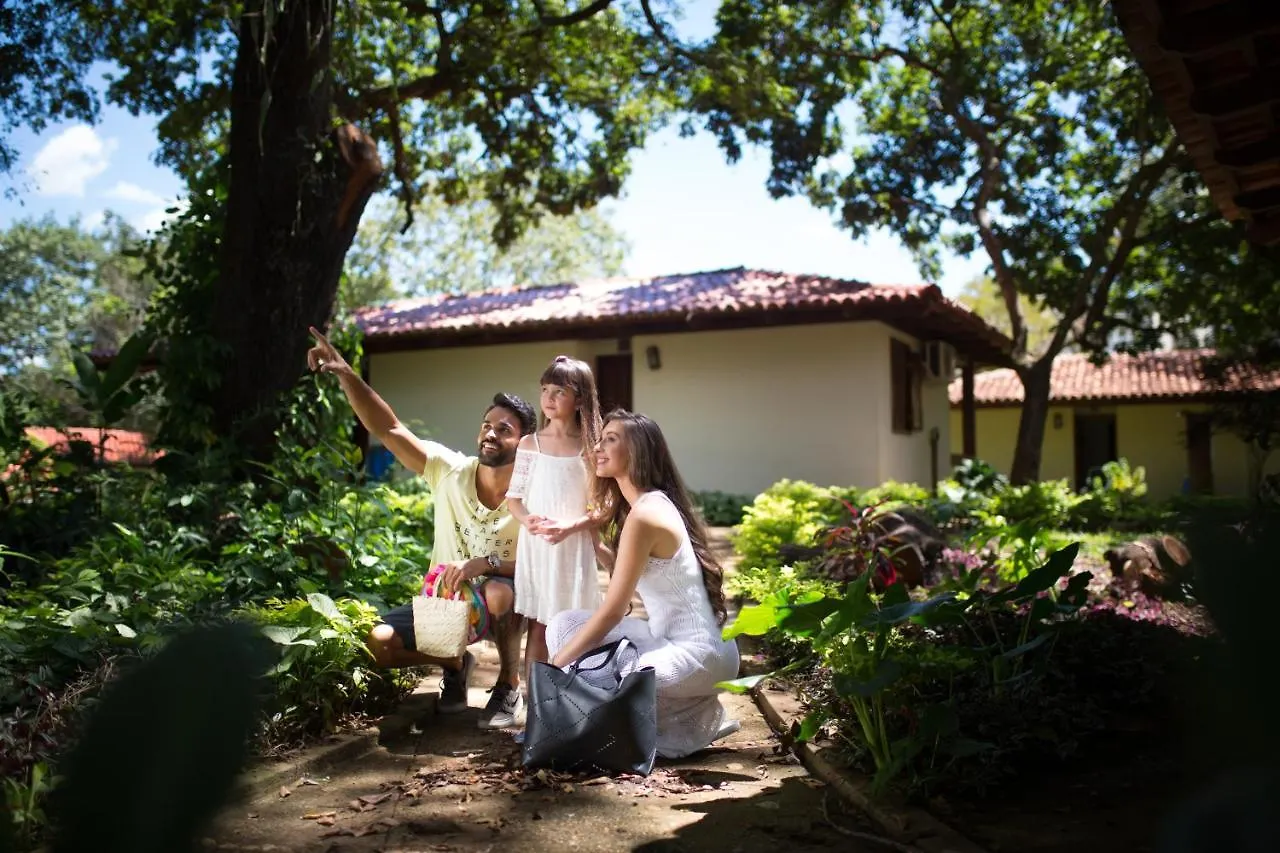 Pousada Do Ipe Hotel Caldas Novas Guest house